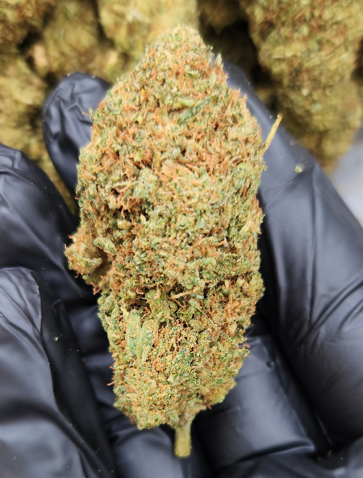 🇺🇸 Lemon diesel (15%) CBD hemp flower tea. 5grams